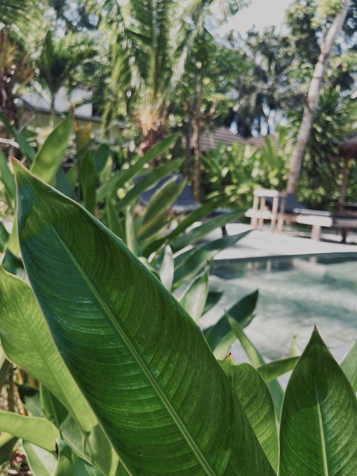 Palm Green Hotel Kuta  外观 照片
